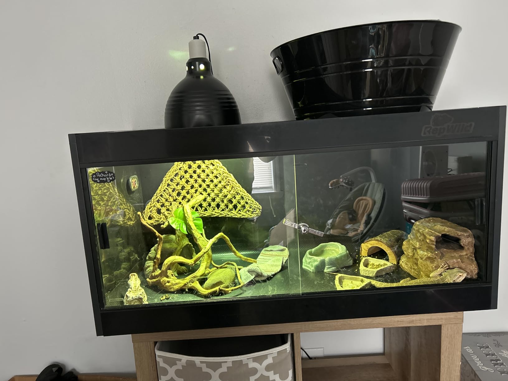 4x2x2 (120 Gallon) PVC Reptile Enclosure, RepWild Terrarium/Tank with Heavy-Duty Screen Top, Glass Sliding Doors & Lock for Bearded Dragons, Ball Python, Geckos, Lizards customer photo 1