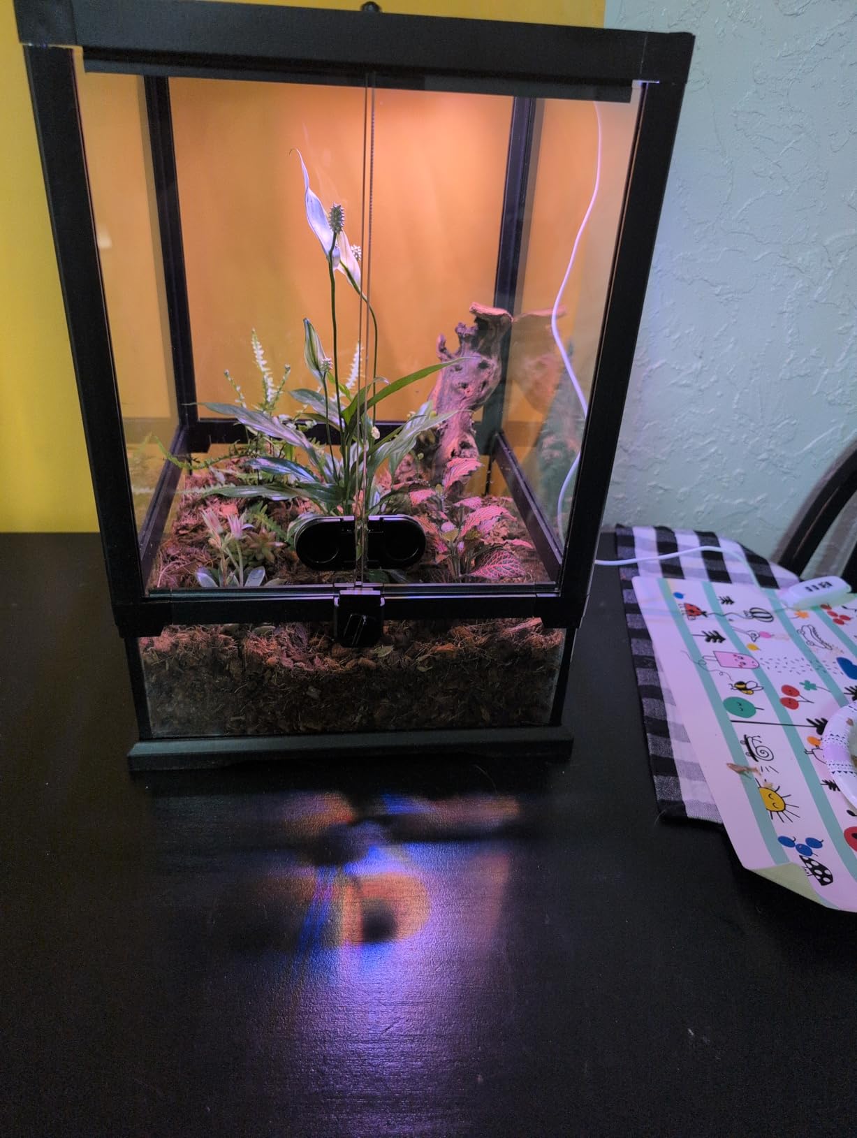 24x18x18'' Front-Opening Glass Reptile Tank for Gecko & Snake customer photo 2