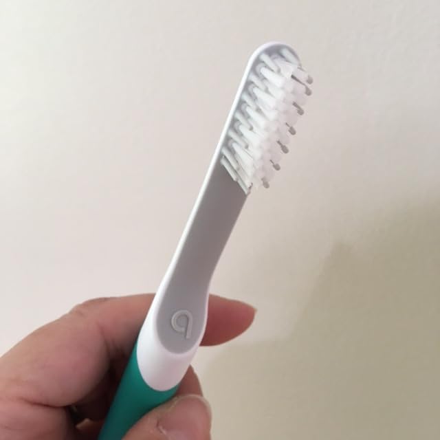 Quip Sonic Electric Toothbrush for Adults, Extra Brush Head, Marine Blue customer photo 1