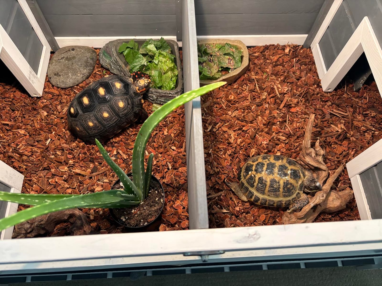 PawHut Tortoise Habitat with Adjustable Lamp Holder, Attached Tray Yellow customer photo 2