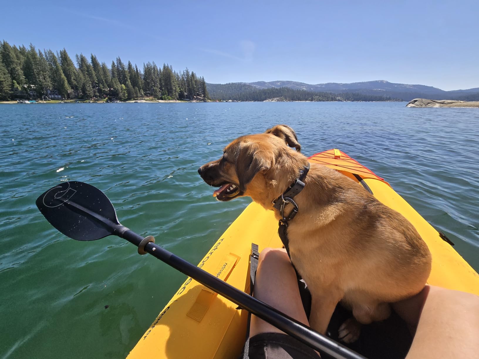 Retrospec Coaster Single & Tandem Inflatable Kayak for Adults - Blow Up Kayak, 220 & 440lb Capacity, Portable Lightweight Kayak with Paddle, Pump & Carry Bag customer photo 1