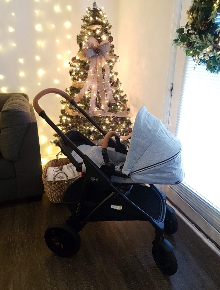 Chicco Corso LE System w/KeyFit Max ClearTex Infant Car Seat & Base customer photo 1