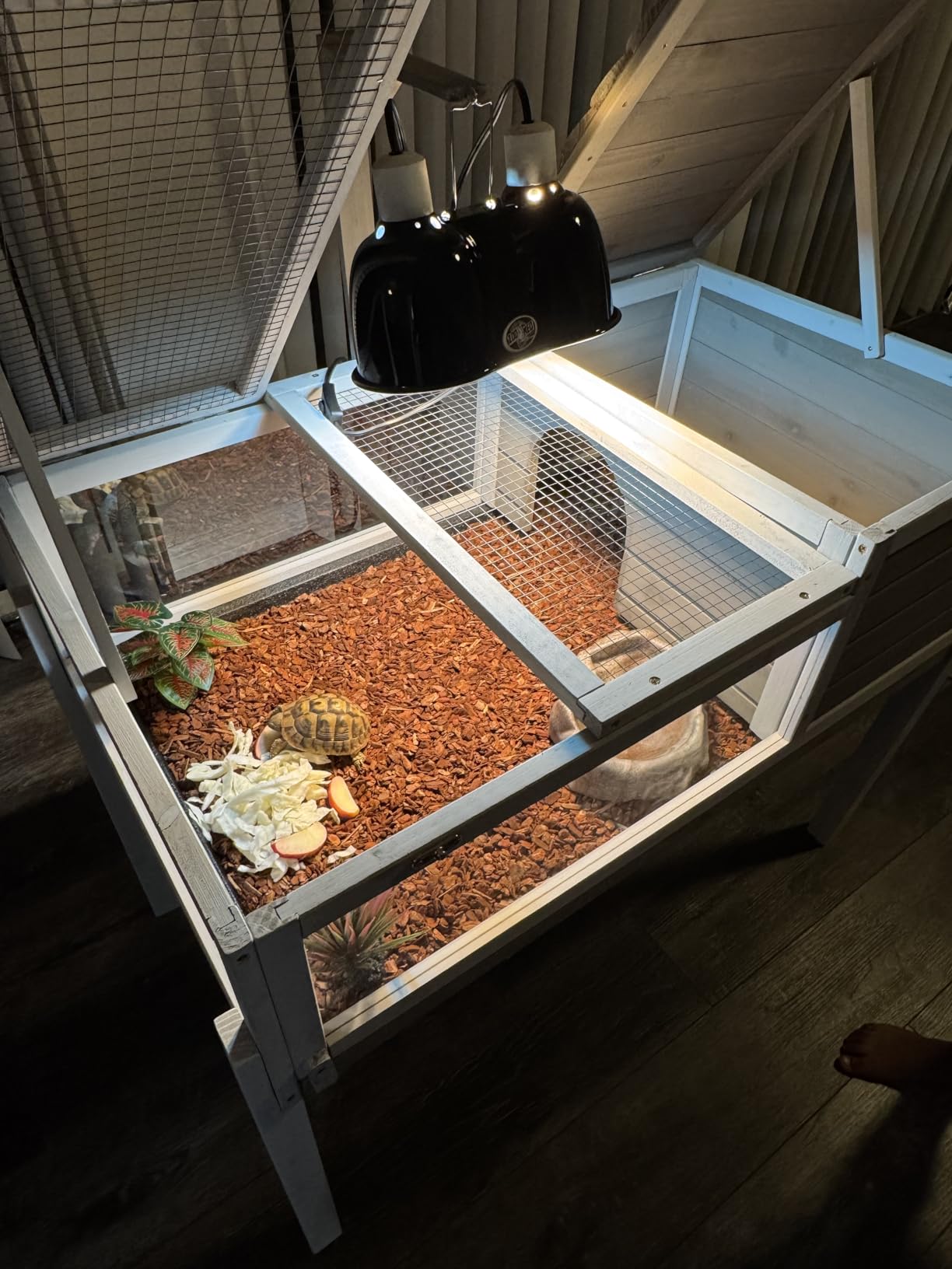 Large Tortoise Enclosure with Adjustable Lamp Stand and Storage Shelf customer photo 1